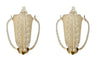 Mid Century wall sconces Murano glass and brass by Barovier and Toso - 1950s