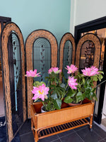 Vintage room divider screen woven rattan French 1970s - Mid Century Furniture