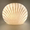 Mid Century Murano glass shell lamp by Peill and Putzler - 1970s German