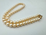 Vintage Akoya pearl necklace by Mappin & Webb 19carat gold in original box - 1980s