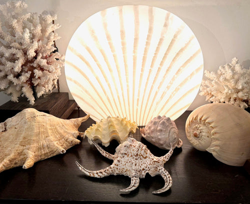 A Murano glass shell lamp by Peill and Putzler