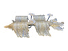 A stunning large pair of 1930s Art Deco Murano glass wall sconces by Seguso