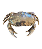 A FONDICA SOLID CAST CRAB WITH HINGED TOP SHELL WITH BLUE VELVET LINING