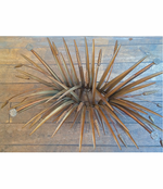 LARGE WHEAT SHEAF TABLE