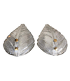 PAIR OF TEXTURED MURANO GLASS LEAF WALL SCONCES WITH BRASS SCREW FITTINGS