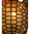 PAIR OF LARGE UNUSUAL TURTLE SHAPED NACRE FAUX TORTOISESHELL WALL SCONCES