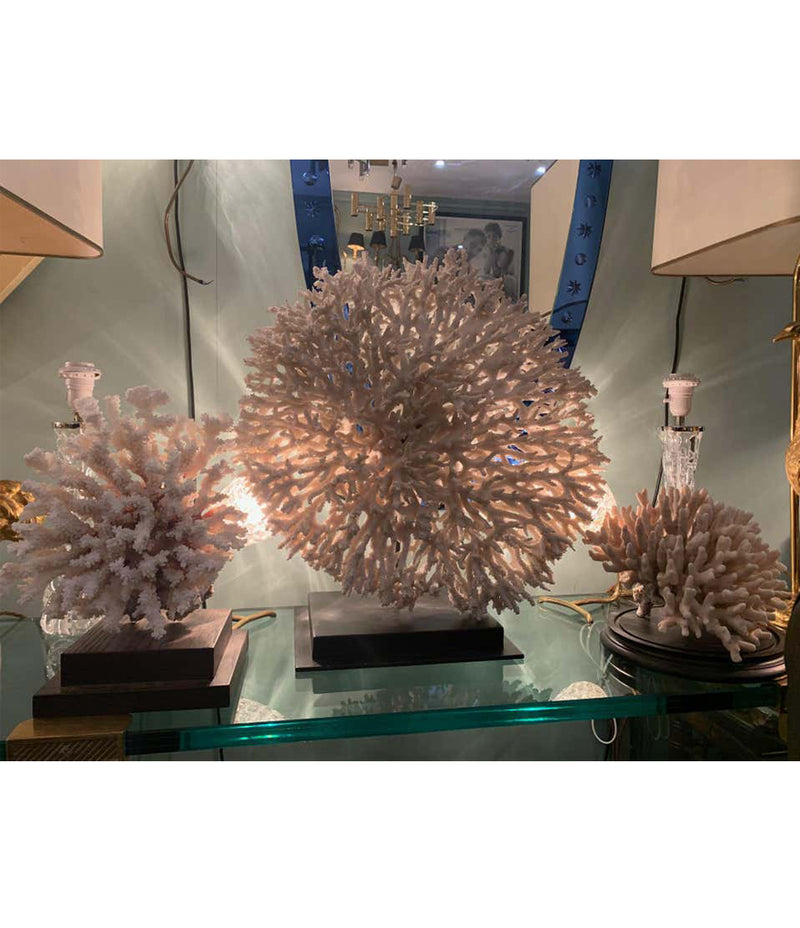 STUNNING LARGE ANTIQUE CIRCULAR PIECE OF LACE CORAL MOUNTED ON MUSEUM STAND