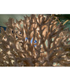 STUNNING LARGE ANTIQUE CIRCULAR PIECE OF LACE CORAL MOUNTED ON MUSEUM STAND