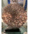 STUNNING LARGE ANTIQUE CIRCULAR PIECE OF LACE CORAL MOUNTED ON MUSEUM STAND
