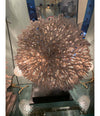 STUNNING LARGE ANTIQUE CIRCULAR PIECE OF LACE CORAL MOUNTED ON MUSEUM STAND