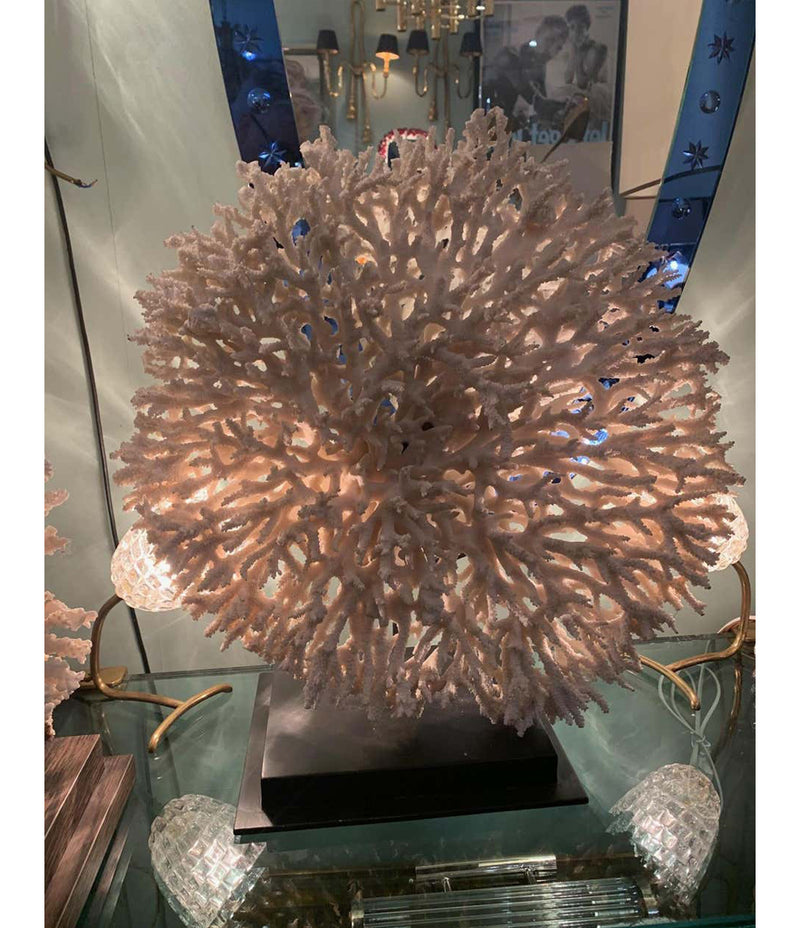 STUNNING LARGE ANTIQUE CIRCULAR PIECE OF LACE CORAL MOUNTED ON MUSEUM STAND