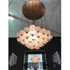 STUNNING VENINI CHANDELIER