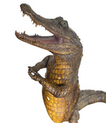 VICTORIAN TAXIDERMY STANDING CROCODILE WITH CLASPED HANDS AND OPEN MOUTH